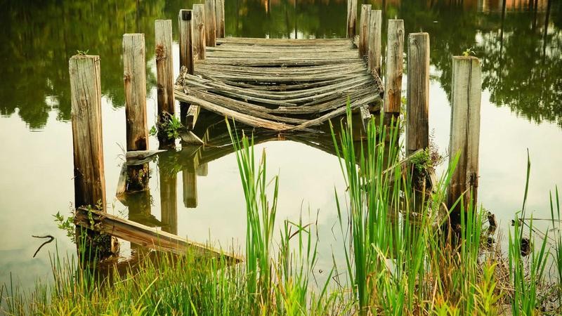 久久久久久久精品免费看A片：深度解析影视内容免费观看的潮流与价值