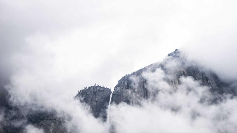 国产欧美日韩专区毛茸茸：全球萌宠文化融合与创意生活新趋势