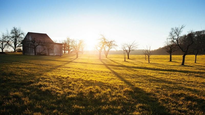 亚洲熟妇少妇任你躁在线观看：探索成熟魅力与青春活力的视觉盛宴，带你领略多元女性风采的深度体验